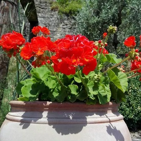 Casina Di Vicchio * Dicomano