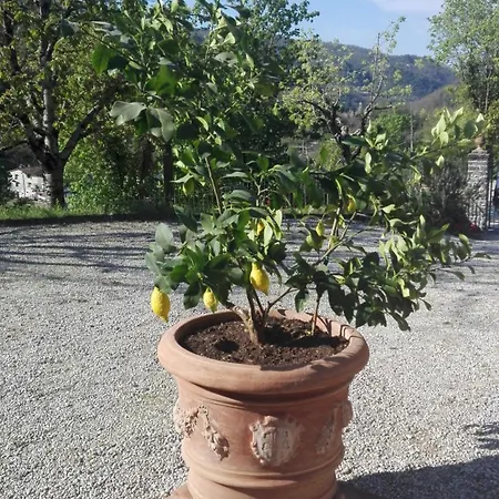 Casina Di Vicchio Dicomano