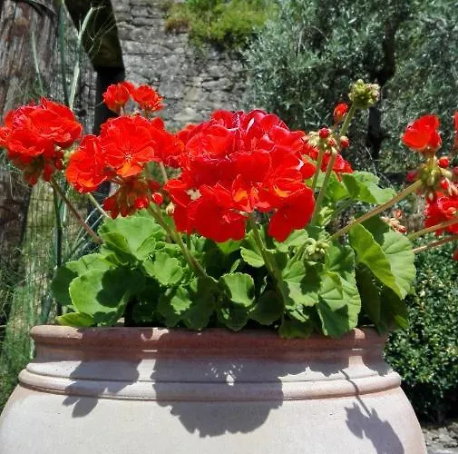 Casina Di Vicchio * Dicomano