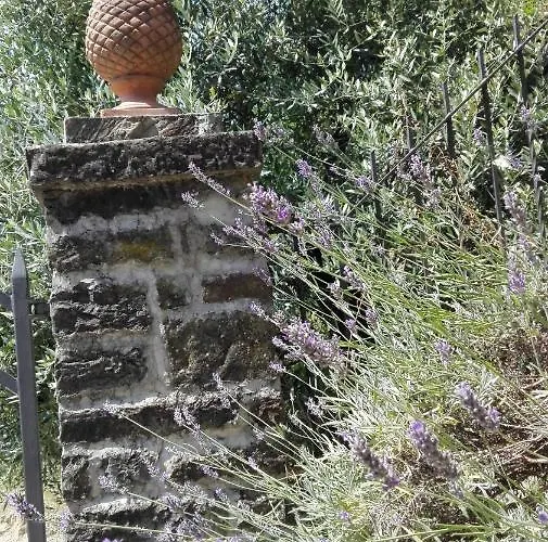 Casina Di Vicchio Appartement Dicomano