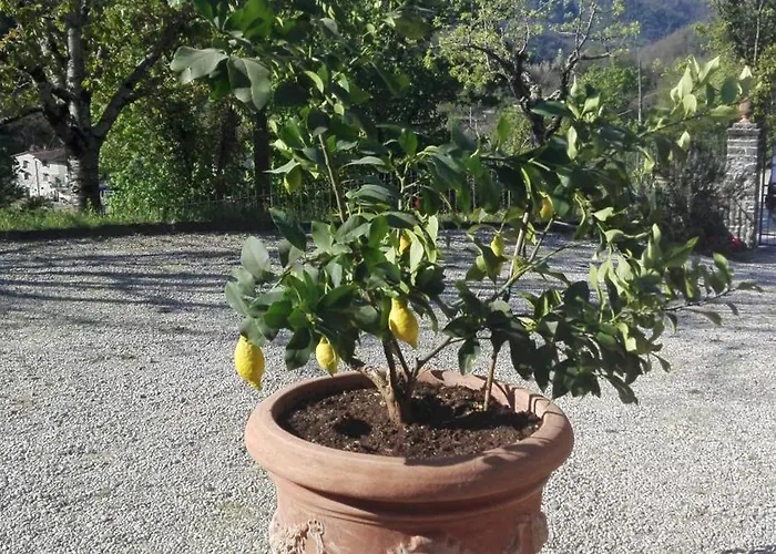 Casina Di Vicchio Dicomano