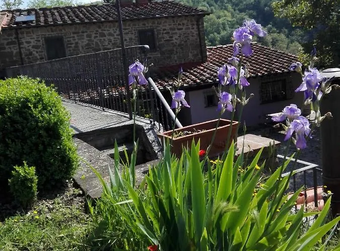 Appartement Casina Di Vicchio *